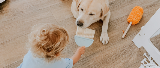 What would be good image alt text for a google optimized blog post about Montessori Method of Teaching Cleaning: A Practical Life Skills Approach