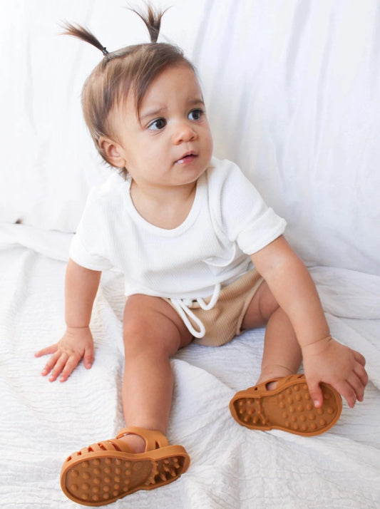 Clover and Bear Jellies